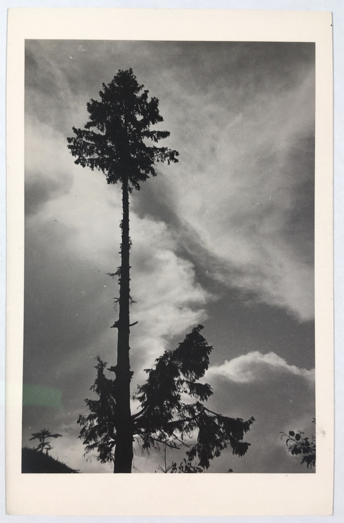 Fotopostkaart sarjast "Kaunis kodumaa" Nr. 852 - Fotopostkaart Rene Viljati erakogust