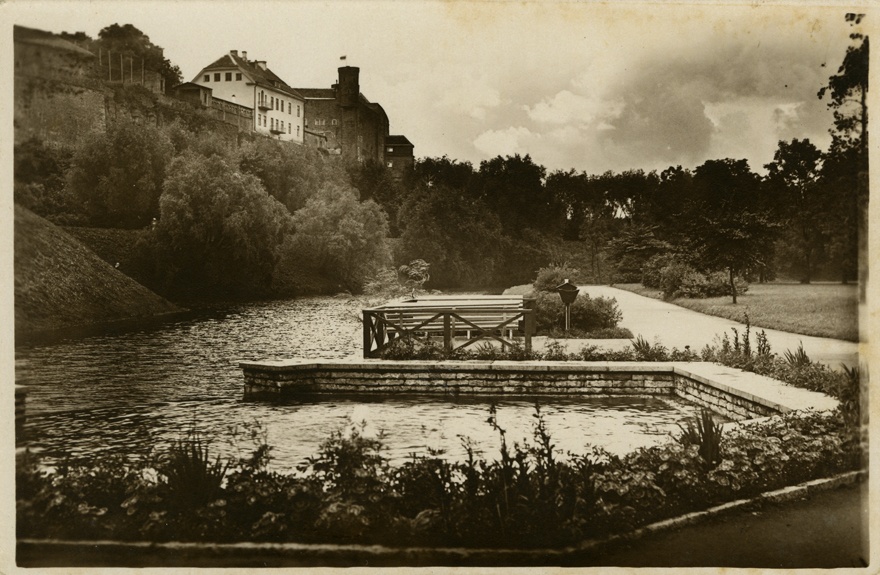 Snelli tiik, üldvaade