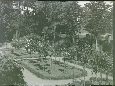 Tartu silmakliiniku aed Vallikraavi tänavas.  similar photo