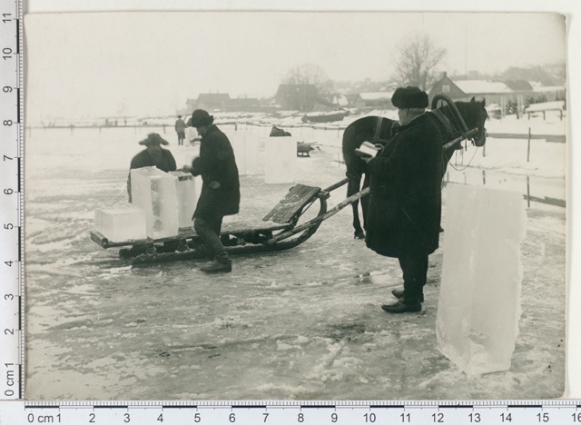 Ice cut in Emajõel 1913