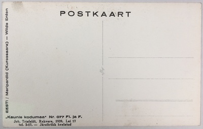 Fotopostkaart sarjast "Kaunis kodumaa" Nr. 077 (tagakülg) - Foto: Carl Sarap (1893-1942)  duplicate photo