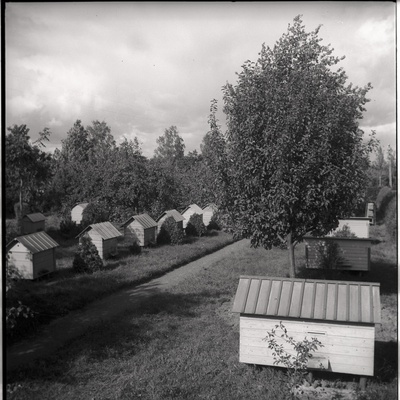 Viljandimaa, mesitarud talus Tarvastu maantee ääres  similar photo