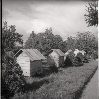 Viljandimaa, mesitarud talus Tarvastu maantee lähistel  similar photo