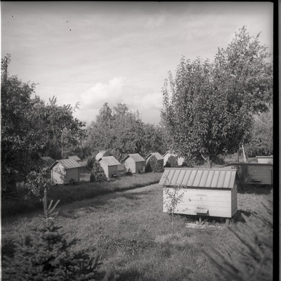 Viljandimaa, mesitarud talus Tarvastu maantee lähistel  similar photo