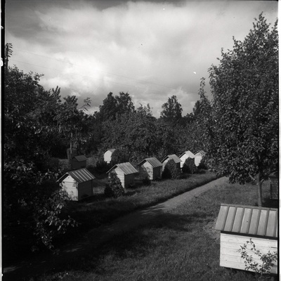 Viljandimaa, mesitarud talus Tarvastu maantee lähistel  similar photo