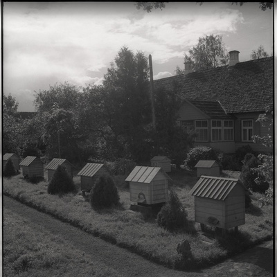Viljandimaa, mesitarud talus Tarvastu maantee lähistel  similar photo