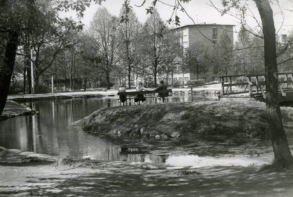 Vanemuise park - saareke tiigis. Tartu, 1975.