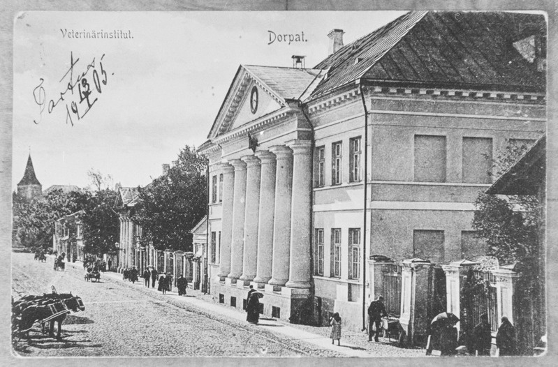 Fotonegatiiv
