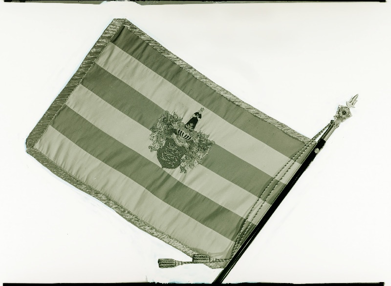 Tallinna Naiskutsekooli lipp.