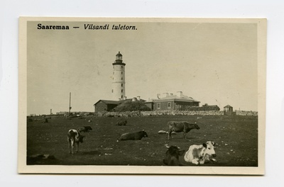 Vilsandi tulejaam  duplicate photo