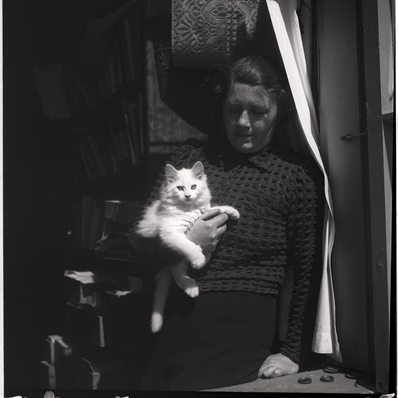 Johanna Triefeldt toas, süles kass