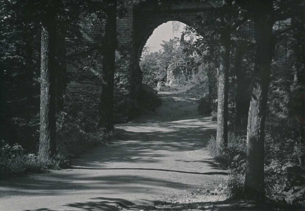 foto Viljandi lossimäed, värav, u 1960