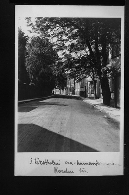 J. Westholmi era humanitaargümnaasium.  duplicate photo
