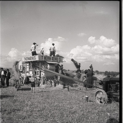 Petseri, töö rehepeksumasinaga Petseri kloostri viljapõllul  similar photo