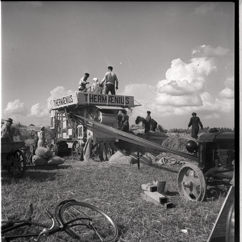 Petseri, töö rehepeksumasinaga Petseri kloostri viljapõllul