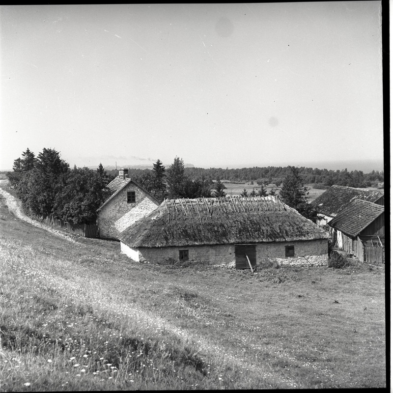 Kõrkküla, taluhooned maantee ääres