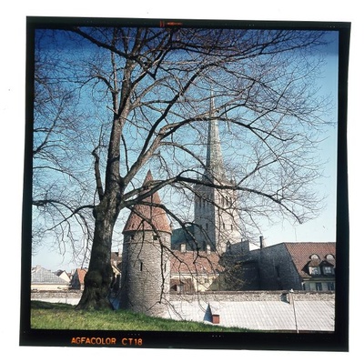 foto  similar photo