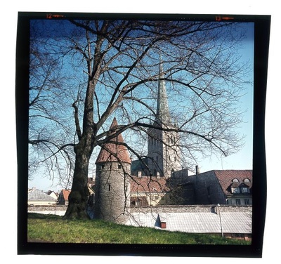 foto  similar photo