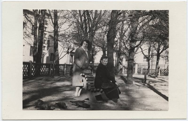 foto, Viljandi, Lastepark, piirdeaed, inimesed, u 1962
