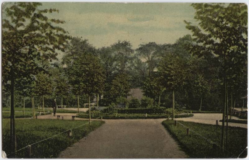 trükipostkaart, Viljandi, Lastepark, ümar lillepeenar, lai tee, pingid, u 1905, Verlag von E. Ring