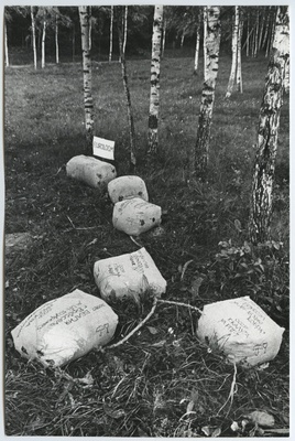 EÜE kokkutulekute, festivalide, spordivõistluste fotod erinevatest aastatest V  duplicate photo