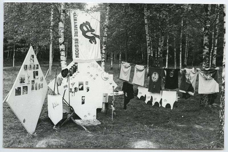EÜE-82 rühmade kokkutulek Intsikurmus I