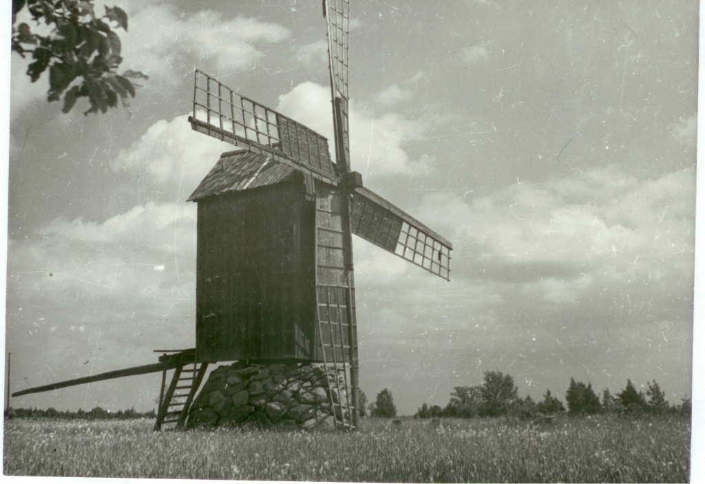 Muhu tuulik