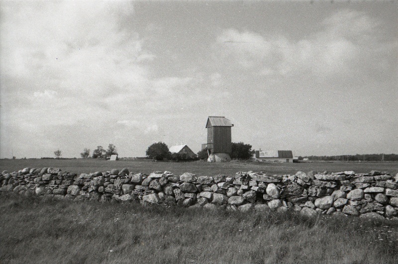 Kiviaed ja tuulik Vilsandil.