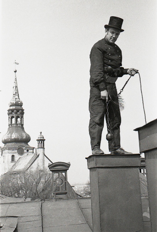 Korstnapühkija katusel, tagaplaanil Toomkirik.