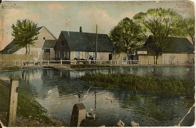 värviline postkaart Tallinn Tiigiveski 1910-20-ndad a.  duplicate photo