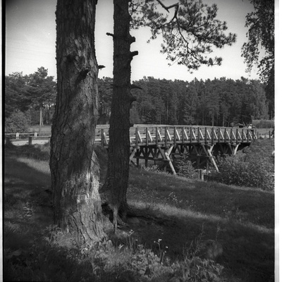 Vainupea sild  similar photo