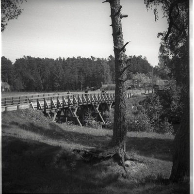Vainupea, sild  duplicate photo
