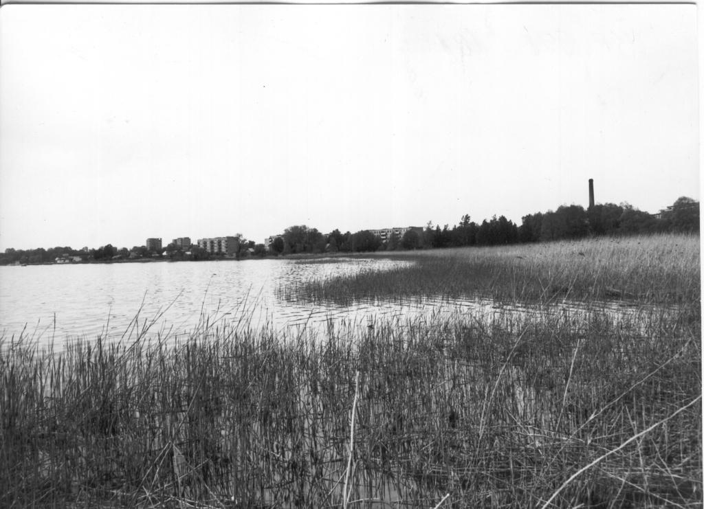 Foto. Võru, Tamula järve kallas , vaade lõunast, paremal endine Piiritusvabriku korsten 1984.a.