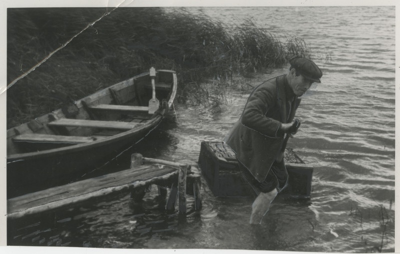 Kalur tõmbab Pangodi järvest välja vähisumpa ehk vähkide hoiukasti