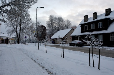 Eesti Vabariigi 2. aastapäeva tähistamine Otepääl (Nuustakus) rephoto