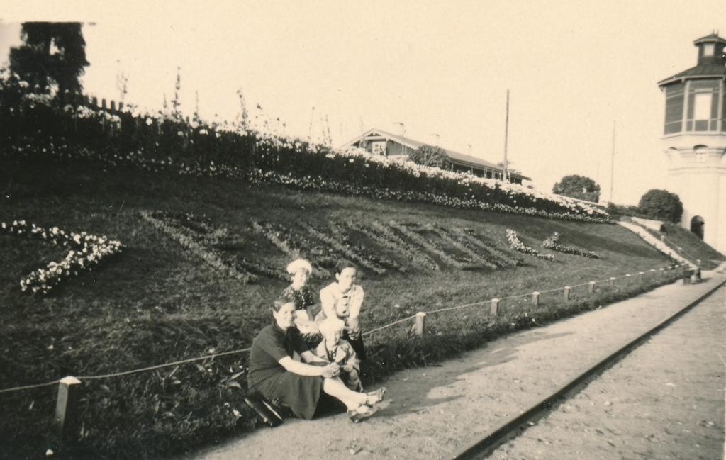 Raudteetammil Veetorni juures