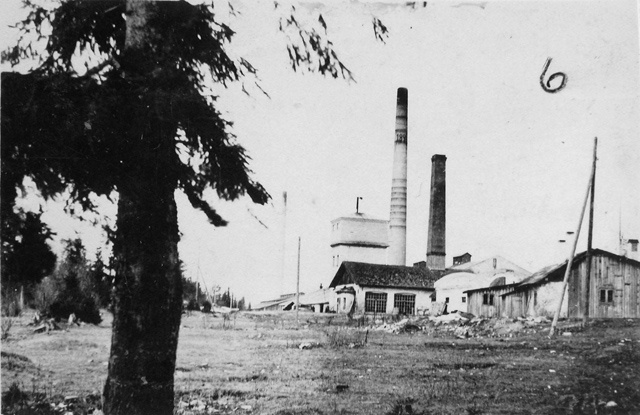 Tamsalu lubjatehas, vaade ringahjudele