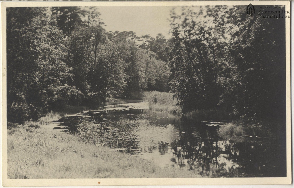 Tallinn. Pirita River