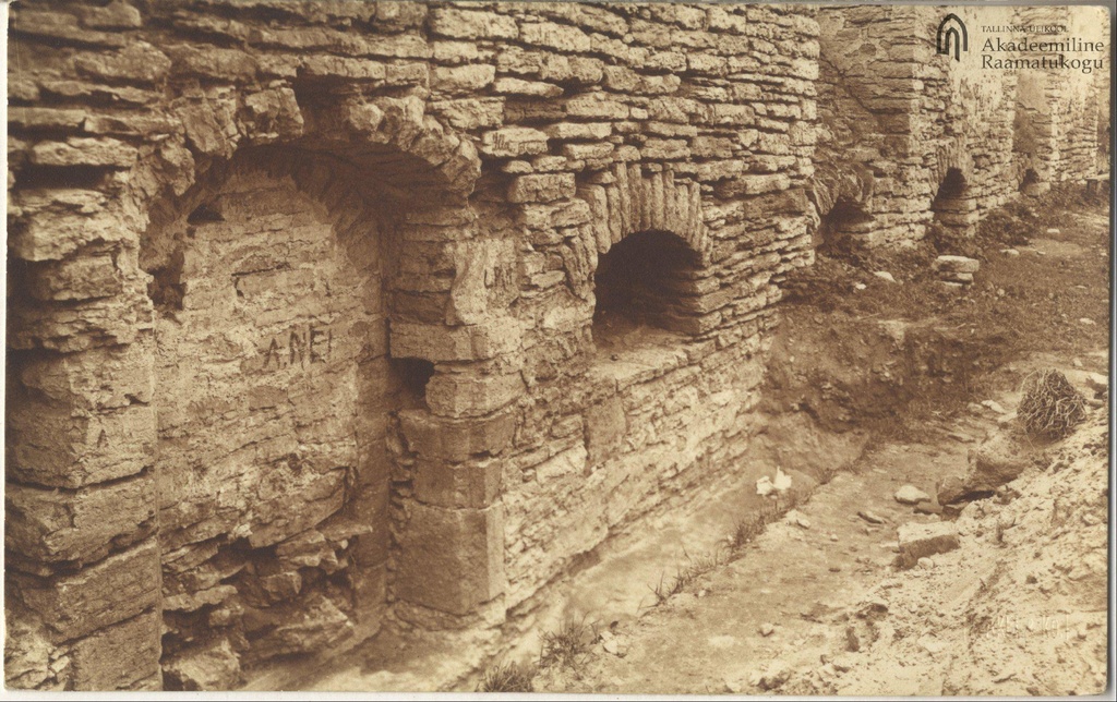 Tallinn. Pirita monastery property excavations