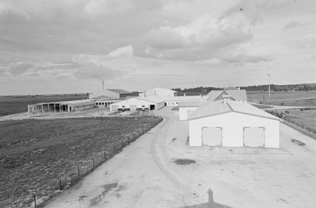 Vinni Näidissovhoostehnikum. Laudad.