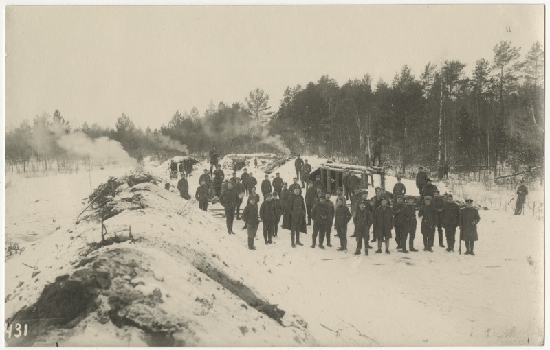 Vabadussõda, Eesti rahvaväe positsiooni-muldonnid Narva lähistel vaherahu ajal 01.1920