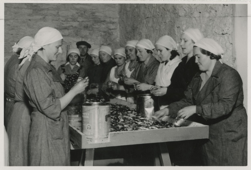 Naiskodukaitse keskjuhatuse korraldatud kalasoolamise kursus Tallinnas 12.-14.06.1940, naiskodukaitsjad ETK konservitööstuse ruumides kala rappimas