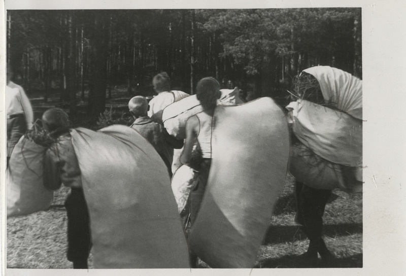 Noorte Kotkaste Tartumaa maleva suvelaager Elvas 07.1936, noorkotkad õlekotte telkidesse tassimas