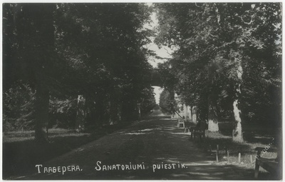Taagepera sanatooriumi lossiesine puisestee  duplicate photo