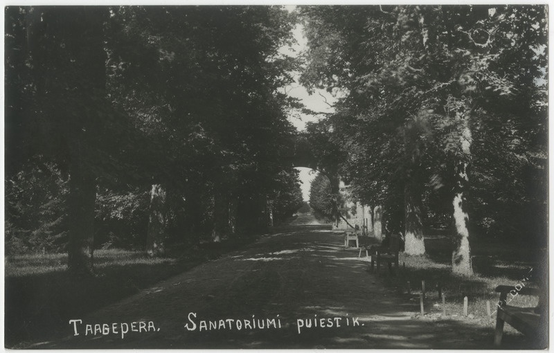 Taagepera sanatooriumi lossiesine puisestee