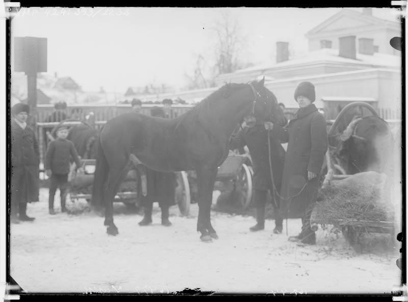 fotonegatiiv, Viljandi, hobused, inimesed 1914 foto J.Riet