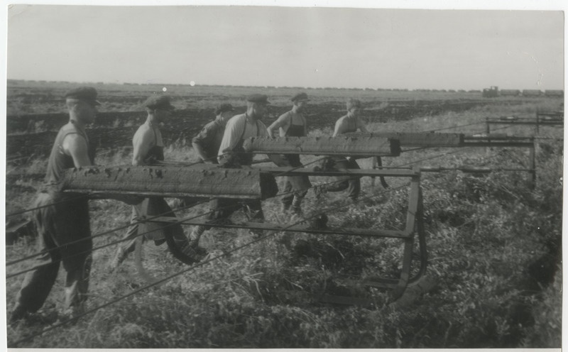 Ulila turbaraba töölised töötamas