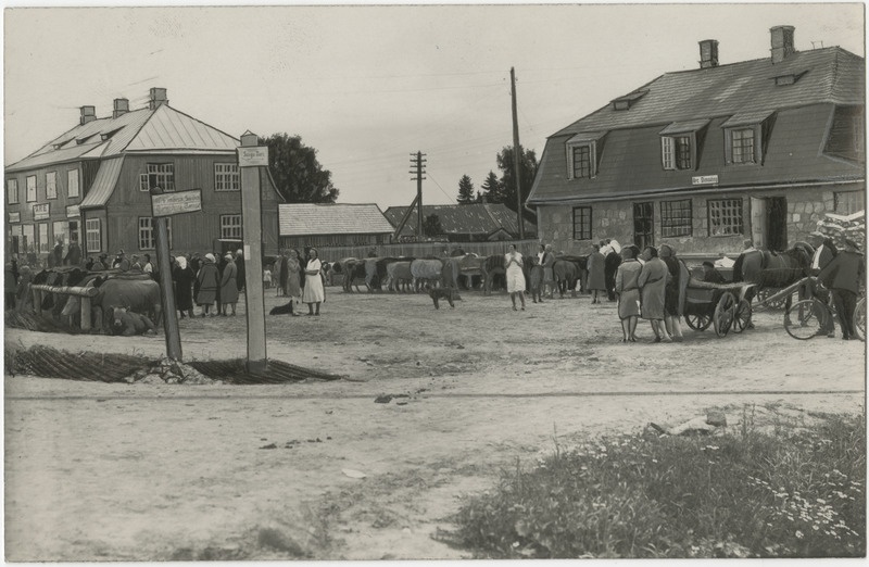 Are noorkarjanäitus