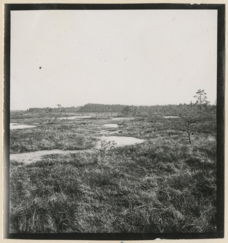 Ropazi soo Riiast idas