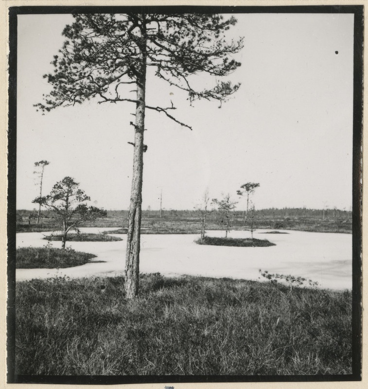 Ropazi soo Riiast idas